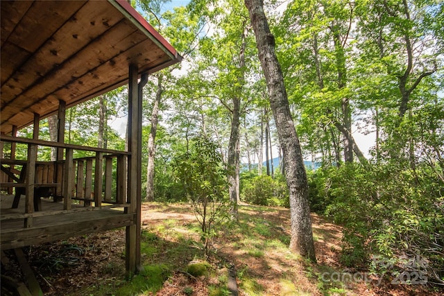 585 Bonfire Dr Unit 10, Franklin, NC 28734 - photo 20
