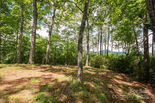 585 Bonfire Dr Unit 10, Franklin, NC 28734 - photo 26