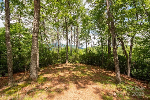 585 Bonfire Dr Unit 10, Franklin, NC 28734 - photo 27