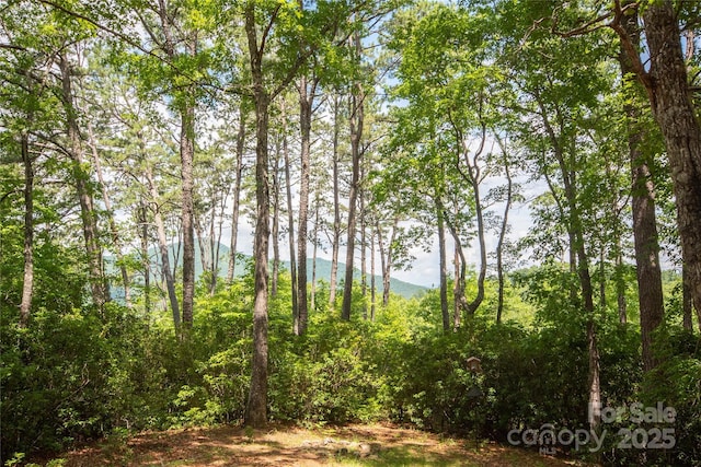 585 Bonfire Dr Unit 10, Franklin, NC 28734 - photo 28