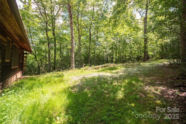 585 Bonfire Dr Unit 10, Franklin, NC 28734 - photo 35