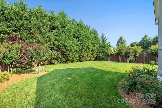 2009 Clover Hill Rd, Fort Mill, SC 29707 - photo 40