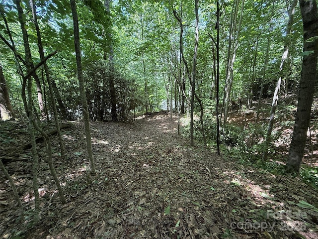 25 Fairview Pointe Dr, Fairview, NC 28730 - photo 1