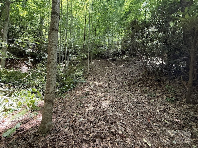 25 Fairview Pointe Dr, Fairview, NC 28730 - photo 4