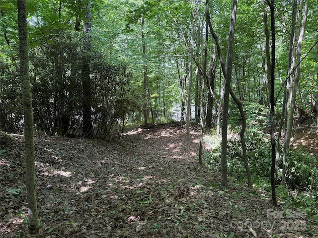 25 Fairview Pointe Dr, Fairview, NC 28730 - photo 5
