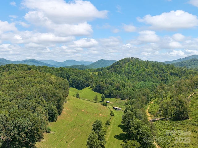 821 Crooked Creek Rd, Mars Hill, NC 28754
