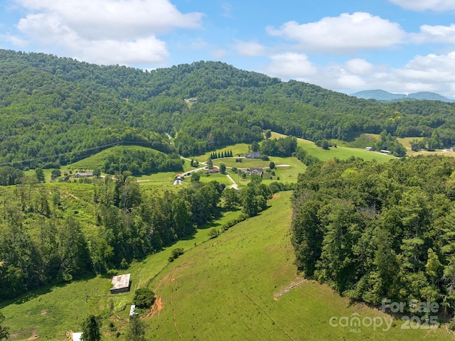 821 Crooked Creek Rd, Mars Hill, NC 28754