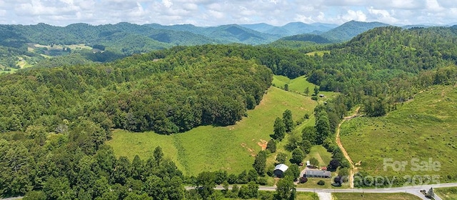 821 Crooked Creek Rd, Mars Hill, NC 28754