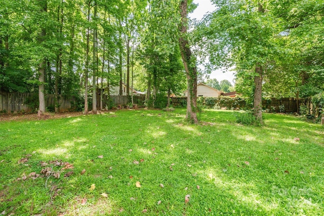 5121 Poplar Glen Dr, Matthews, NC 28104 - photo 23