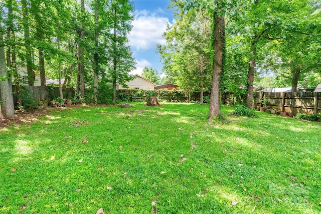 5121 Poplar Glen Dr, Matthews, NC 28104 - photo 25