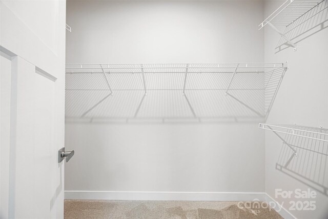 2040 Dornoch Rd, Tega Cay, SC 29708 - view of walk in closet
