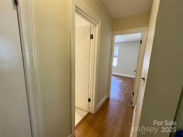 169 Montview Cir, Brevard, NC 28712 - hallway with wood finished floors and baseboards