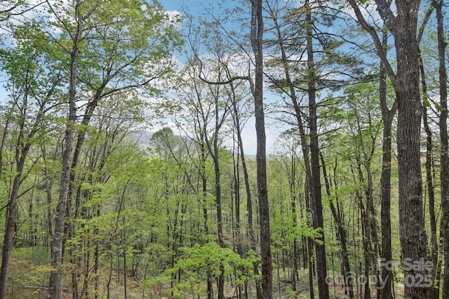 305 Sapphire Ridge Rd Unit B2, Sapphire, NC 28774 - view of wooded area