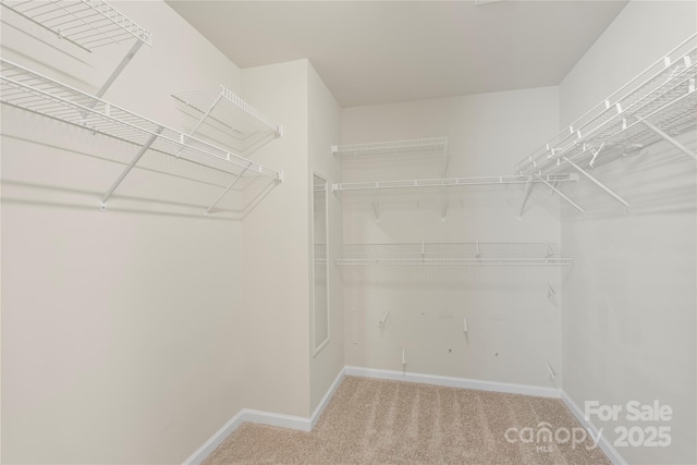 10806 Cove Point Dr, Charlotte, NC 28278 - spacious closet featuring carpet
