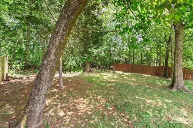 10806 Cove Point Dr, Charlotte, NC 28278 - view of yard