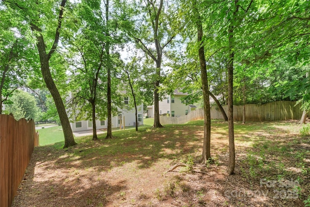 10806 Cove Point Dr, Charlotte, NC 28278 - view of yard