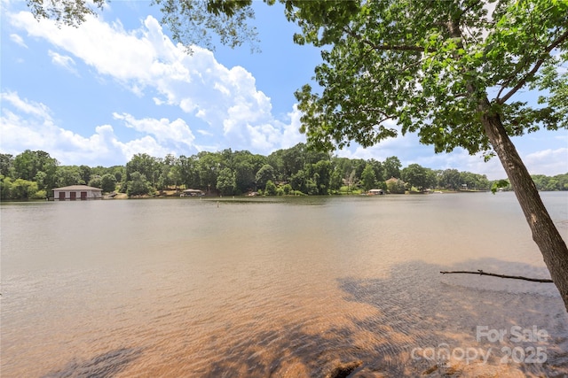 10806 Cove Point Dr, Charlotte, NC 28278 - water view featuring a heavily wooded area