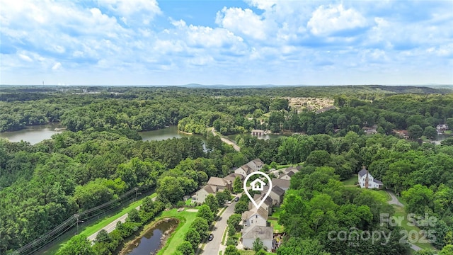 10806 Cove Point Dr, Charlotte, NC 28278 - aerial view of a nearby body of water