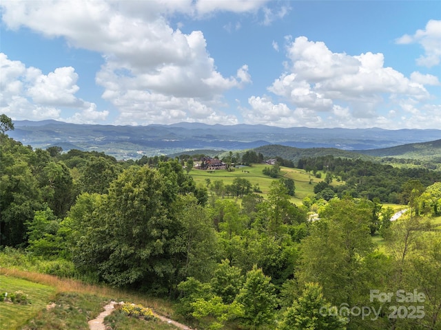 89 N Snow Ridge Dr, Hendersonville, NC 28792 - photo 46