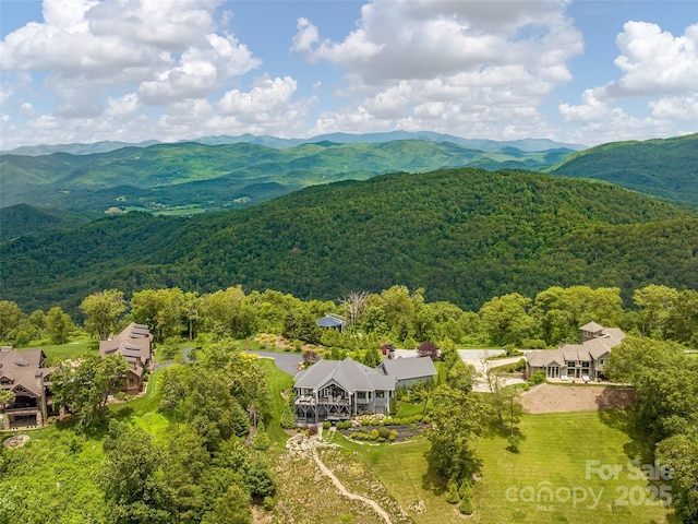 89 N Snow Ridge Dr, Hendersonville, NC 28792 - photo 47