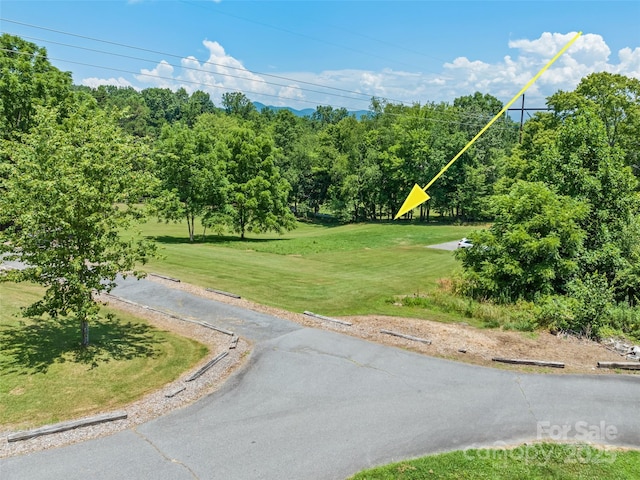 00 Piney Mountain Church Rd, Candler, NC 28715 - photo 5
