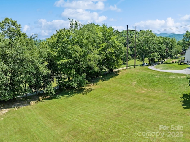 00 Piney Mountain Church Rd, Candler, NC 28715 - photo 6