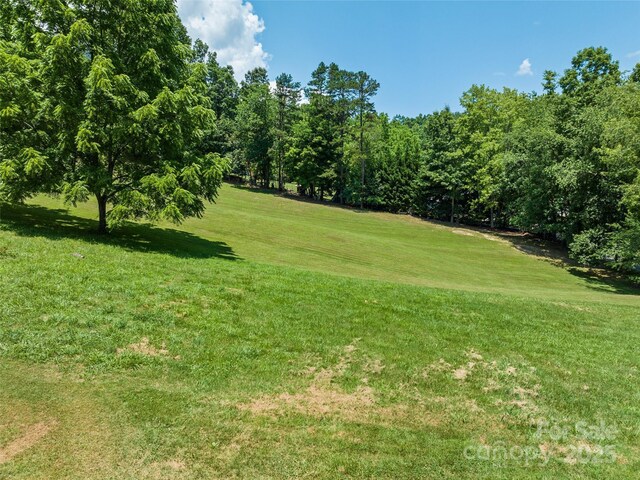 00 Piney Mountain Church Rd, Candler, NC 28715 - photo 9