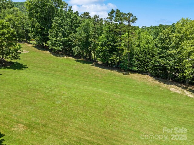 00 Piney Mountain Church Rd, Candler, NC 28715 - photo 10