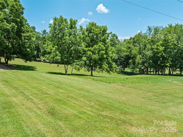 00 Piney Mountain Church Rd, Candler, NC 28715 - photo 11