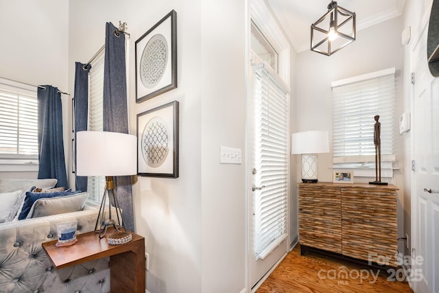 4937 S Hill View Dr, Charlotte, NC 28210 - corridor with crown molding and wood finished floors