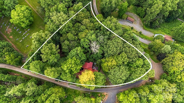 180 Grace Way, Green Mountain, NC 28740 - photo 36