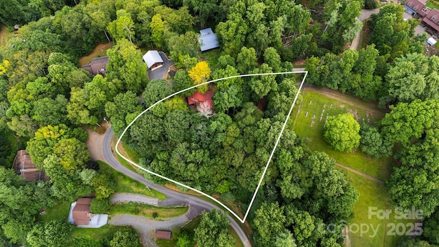 180 Grace Way, Green Mountain, NC 28740 - photo 38
