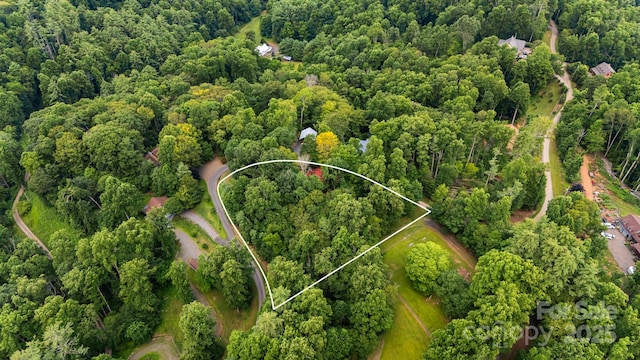 180 Grace Way, Green Mountain, NC 28740 - photo 41