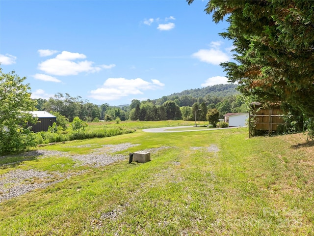 15 Country Ridge Dr, Leicester, NC 28748 - photo 12