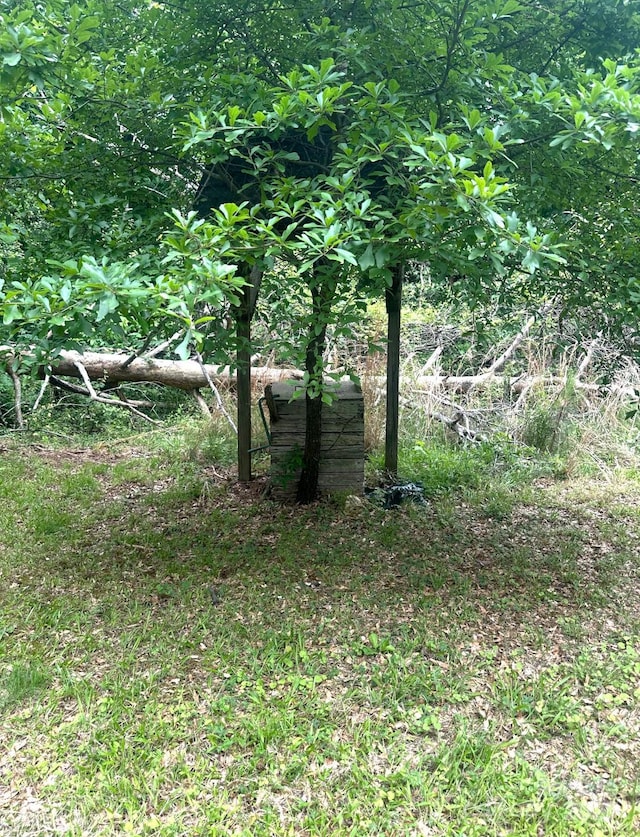 2870 Rutherford College Rd, Connelly Springs, NC 28612 - view of nature
