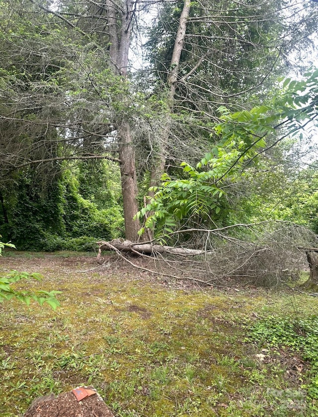 2870 Rutherford College Rd, Connelly Springs, NC 28612 - view of yard with a view of trees