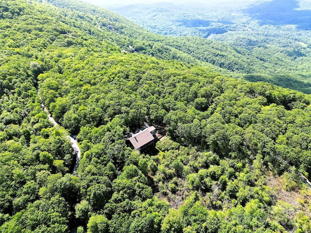 71 Raptor Way, Sapphire, NC 28774 - bird's eye view of a heavily wooded area