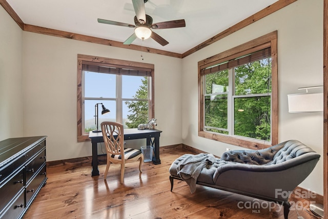71 Raptor Way, Sapphire, NC 28774 - office with light wood-style flooring, ceiling fan, and ornamental molding