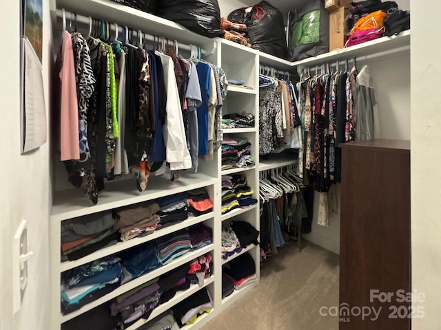 233 Highland Forest Dr, Clover, SC 29710 - spacious closet featuring carpet flooring
