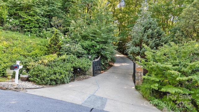 11 Hearthstone Dr, Asheville, NC 28803 - photo 3