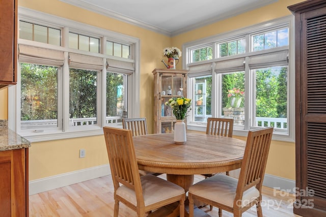 11 Hearthstone Dr, Asheville, NC 28803 - photo 12