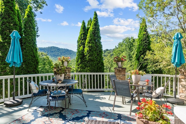 11 Hearthstone Dr, Asheville, NC 28803 - photo 40