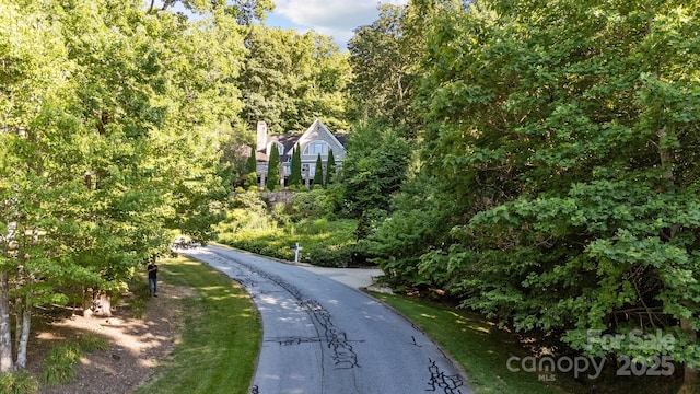 11 Hearthstone Dr, Asheville, NC 28803 - photo 46