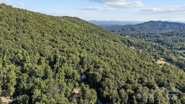 11 Hearthstone Dr, Asheville, NC 28803 - photo 48