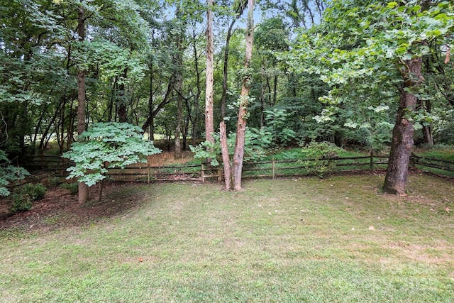 6542 Cross Field Ln, Charlotte, NC 28226 - view of yard