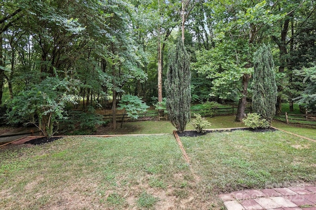 6542 Cross Field Ln, Charlotte, NC 28226 - view of yard