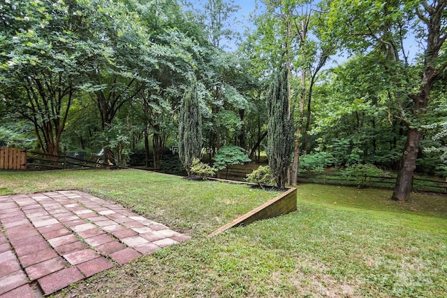6542 Cross Field Ln, Charlotte, NC 28226 - fenced backyard featuring a patio