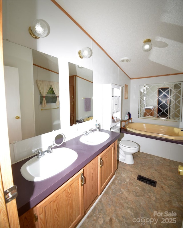 8221 Feather Run Rd, Kershaw, SC 29067 - full bathroom featuring vaulted ceiling, a garden tub, double vanity, and stone finish floors