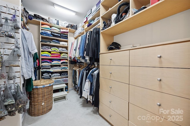 16833 Rudence Ct, Charlotte, NC 28278 - walk in closet with carpet flooring