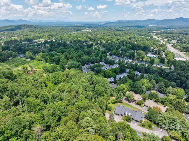 223 Cheyenne Ct, Asheville, NC 28803 - photo 27